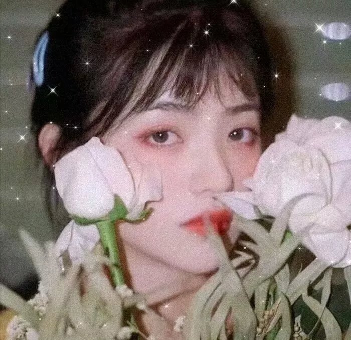 档案风暴